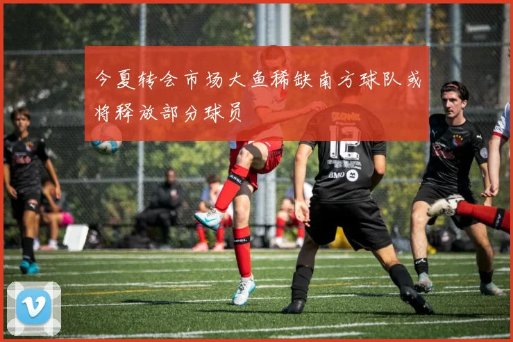今夏转会市场大鱼稀缺南方球队或将释放部分球员
